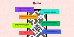 Pethub - Gallery 1