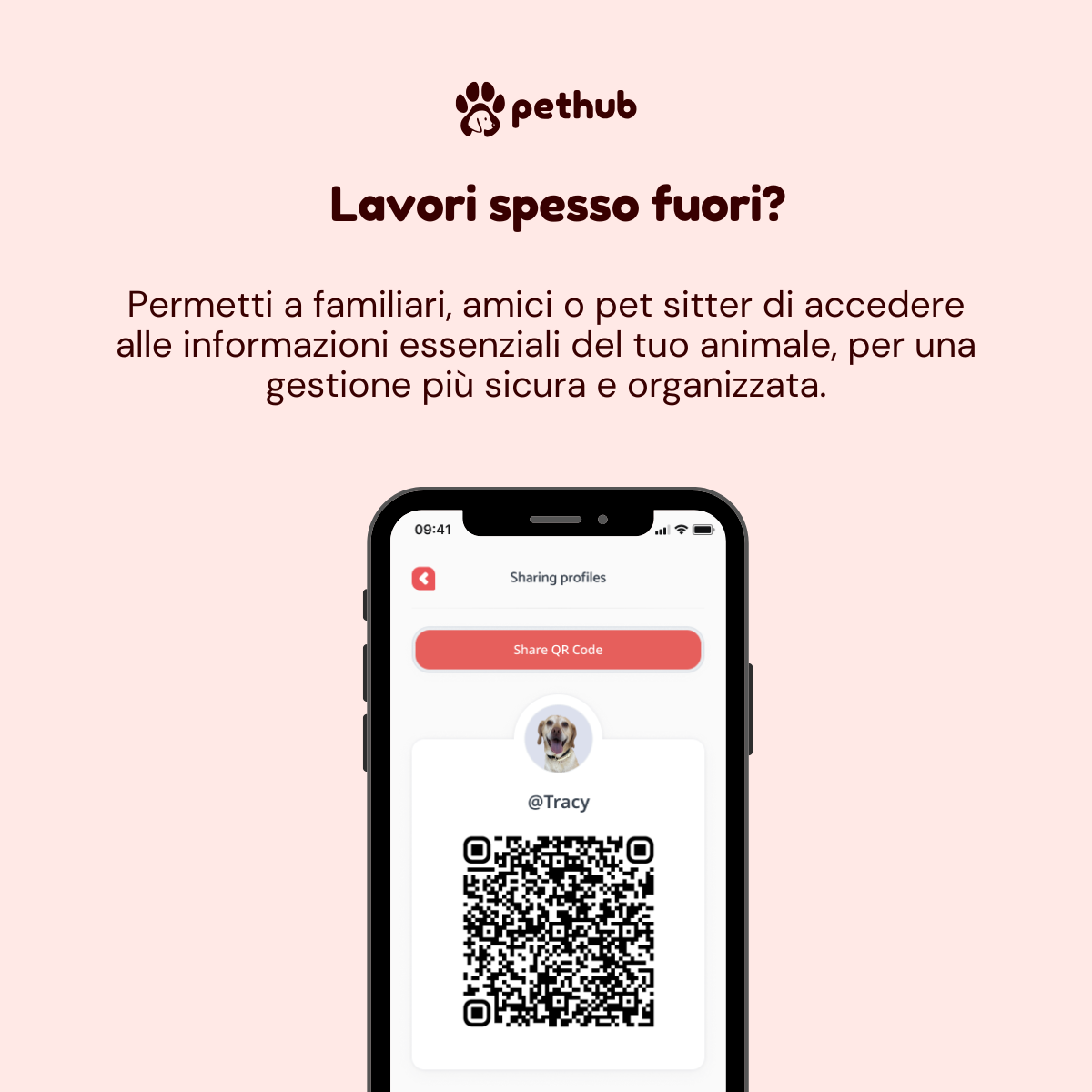 Condivisione profilo con QR code